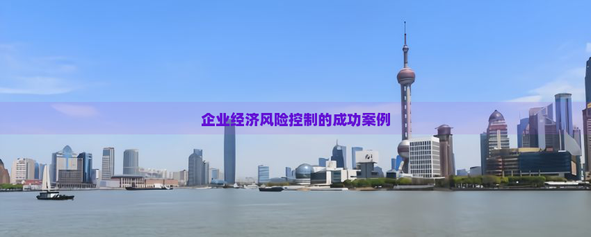 企业经济风险控制的成功案例